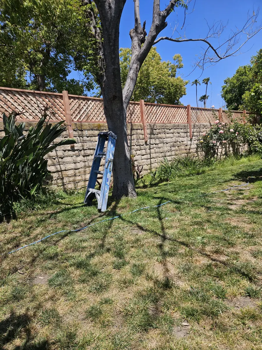 Fence Installation