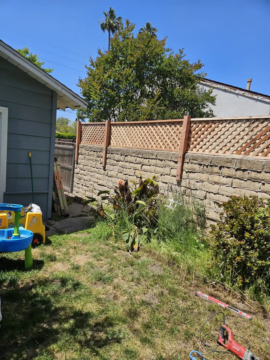 Backyard Improvement