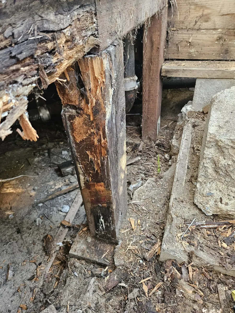 Outdoor Framing